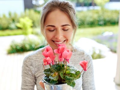 To tip της μαμάς: 5 φυτά για να ομορφύνετε το μπαλκόνι σας το φθινόπωρο