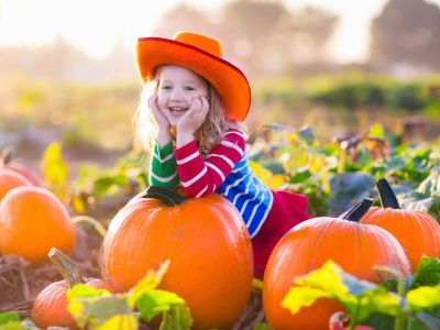 Κολοκύθα: Η τεράστια διατροφική αξία της, οι ελάχιστες θερμίδες και εύκολες συνταγές