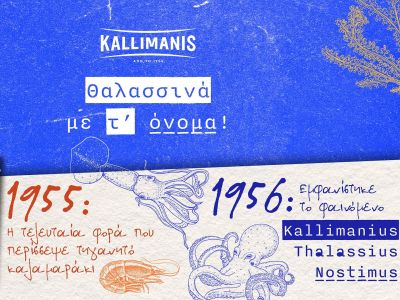 ΚΑΛΛΙΜΑΝΗΣ: Τα θαλασσινά με τ’ όνομα!