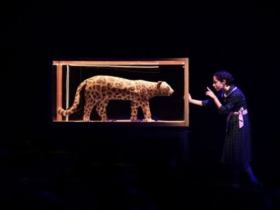 Το θρυλικό «Καπλάνι της Βιτρίνας» επιστρέφει για 2η χρονιά στο Ίδρυμα Μιχάλης Κακογιάννης