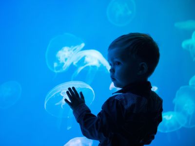 Τσίμπημα από τσούχτρα και παιδί: Τι πρέπει να κάνετε