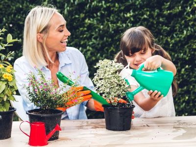 Είδατε τρύπες στα φύλλα των φυτών; Να τι πρέπει να κάνετε