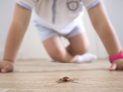 7 φυσικοί τρόποι να διώξετε τις κατσαρίδες αν έχετε μικρά παιδιά