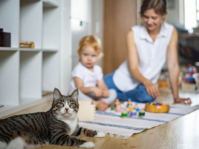 Μέθοδος Montessori - Τι να γνωρίζουν οι γονείς