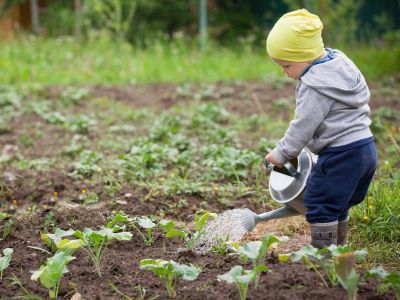 Το μικροβίωμα του βρέφους: To «αόρατο θεμέλιο» της ψυχικής υγείας