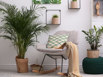 5 tips για να παραμείνουν τα φυτά εσωτερικού χώρου υγιή τον χειμώνα