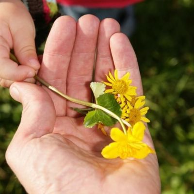 Βγήκα να πιάσω το... Μάη!