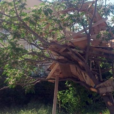 Πάμε να μείνουμε κι εμείς στο σπίτι στο δέντρο;