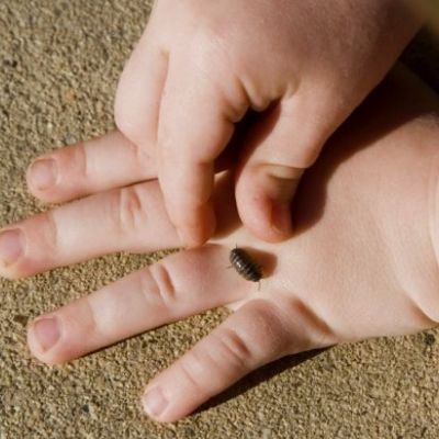 Το ζουζουνάκι μου!