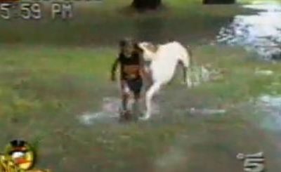 Παιδιά και ζώα... ο συνδυασμός που σκοτώνει...στα γέλια!