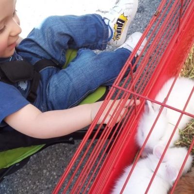 Αχ κουνελάκι...κουνελάκι!