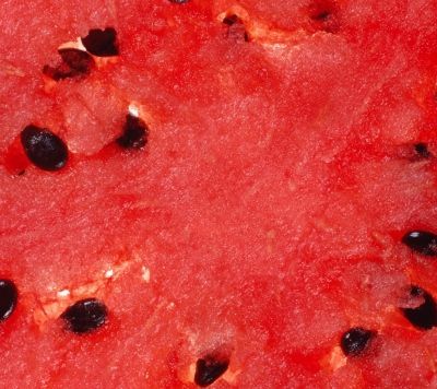 Δροσερή καρπουζόπιτα