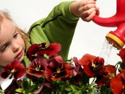 Κηπουρική με τη βοήθεια του παιδιού σας