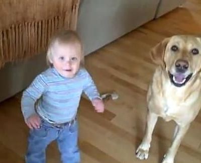 Σκύλος μαθαίνει πιτσιρίκα να πηδάει!