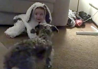 Πώς μια στολή μωρού, μπέρδεψε τον σκύλο!