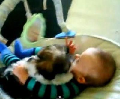 Το κουτάβι λατρεύει το μωρό (βίντεο)