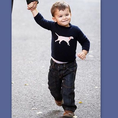 Ο γιος της Gisele Bundchen αγαπάει τα σκυλάκια