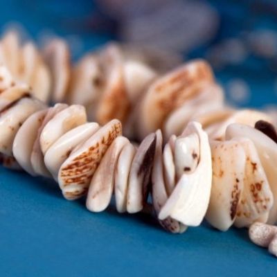 Φτιάξτε στην πριγκίπισσά σας βραχιόλια από κοχύλια!