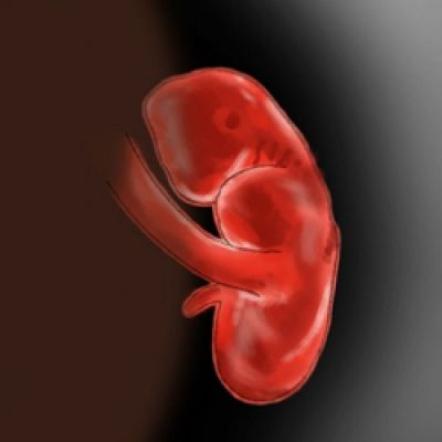 Εβδομάδες 6 - 7