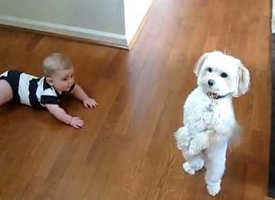 Βίντεο: Όταν ο σκύλος χορεύει… το μωρό τι κάνει;