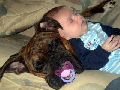 Παιδιά και κατοικίδια (Οι ωραιότερες φωτογραφίες που έχετε δει)