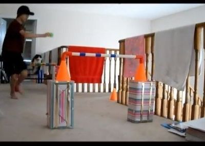 Δεν θα πιστεύετε τι έχει μάθει αυτός ο πιτσιρικάς τις γάτες του να κάνουν!