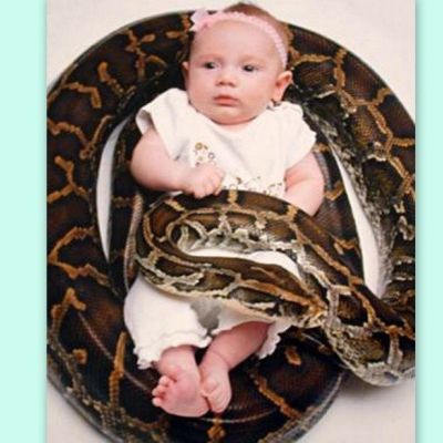 Μητέρα έσωσε την κόρη της από πύθωνα 2 μέτρων!