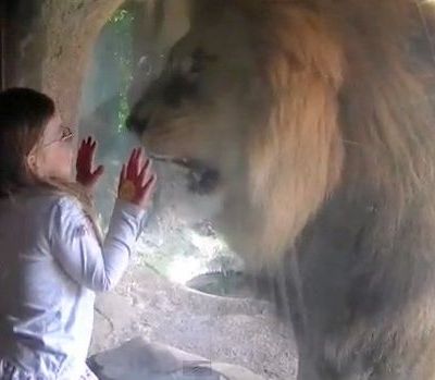 Η πιτσιρίκα που έκανε το λιοντάρι...έξαλλο!