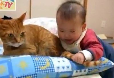 Τι τραβάει αυτή η γάτα!