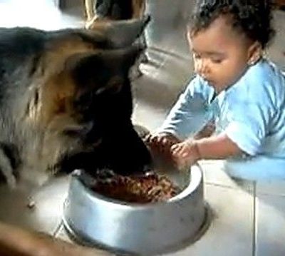 Απίστευτη "διαμάχη" μωρού και σκύλου για ένα μπολ φαγητού!