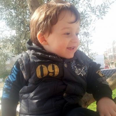 Πάνω στην ελιά νιώθω ο βασιλιάς του κόσμου!