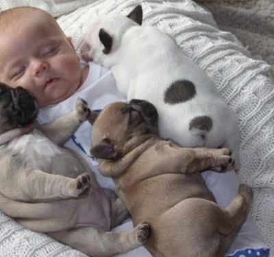 Η απίστευτη σχέση ενός μωρού με τρία κουτάβια!