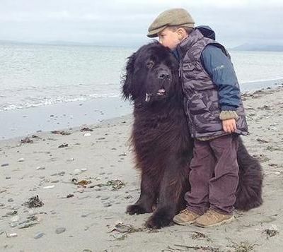 Γνωρίστε τον Julian και τον Max! Μια σχέση ζωής!