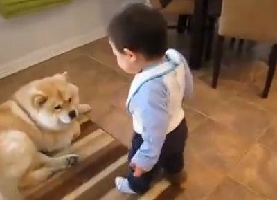 Αυτός ο πιτσιρικάς έχει πολλά θέματα να λύσει με το σκύλο του!