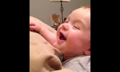 Καταδιασκεδάζει με ένα απλό μαξιλάρι!