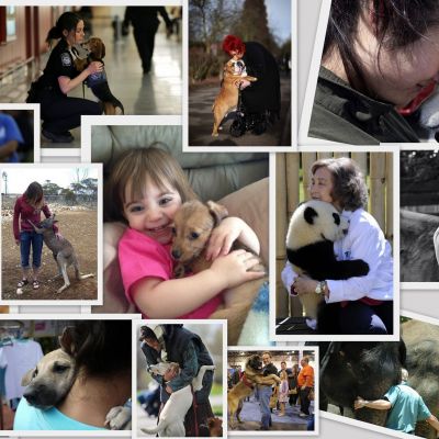 Ολοι χρειάζονται μία αγκαλίτσα (φωτογραφίες)