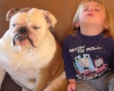 Τι γίνεται όταν ένα παιδί και το σκυλί του νυστάζουν ταυτόχρονα! Δείτε το απολαυστικό βίντεο