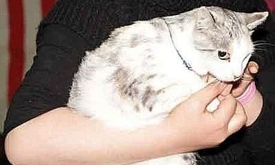 H συγκινητική ιστορία της μικρής μετανάστριας που διέσχισε τη Μεσόγειο έχοντας μαζί τη γάτα της (εικόνα)