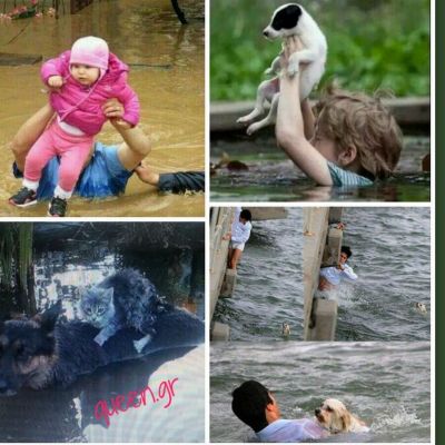 SOS 4 SERBIA !!! PLEASE HELP !!! SOS !!!