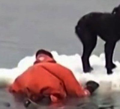 «Πίστεψε στην ανθρωπιά! Υπάρχει!» (βίντεο) Γράφει η Δέσποινα Καμπούρη