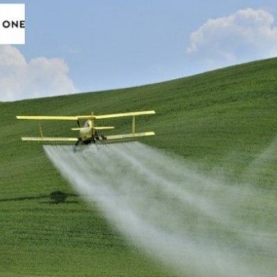 Η έκθεση της εγκύου σε φυτοφάρμακα επηρεάζει την υγεία των επόμενων τριών γενιών