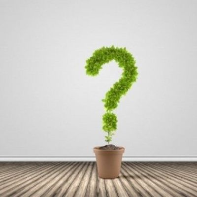 Το μυρωδικό που μειώνει τη φλεγμονή και είναι «must» στην αντιγήρανση