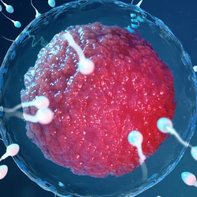 Σπερματέγχυση: Μάθετε τα πάντα για την πιο δημοφιλή μέθοδο υποβοηθούμενης αναπαραγωγής