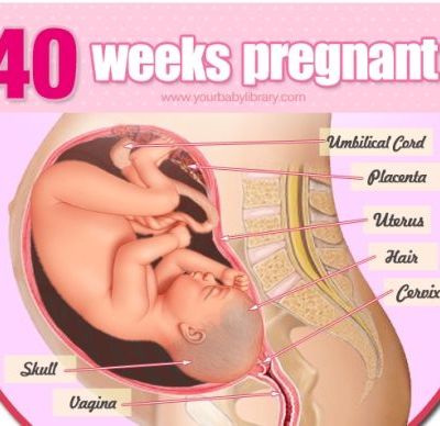 Εγκυμοσύνη ανά εβδομάδα: 40η εβδομάδα της κύησης