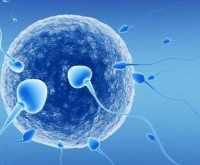 Εξωσωματική γονιμοποίηση και ενδοκυτοπλασμική έγχυση σπέρματος (ICSI)