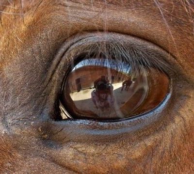 Δείτε τον κόσμο μέσα από τα μάτια μιας «παράξενης παρέας»!