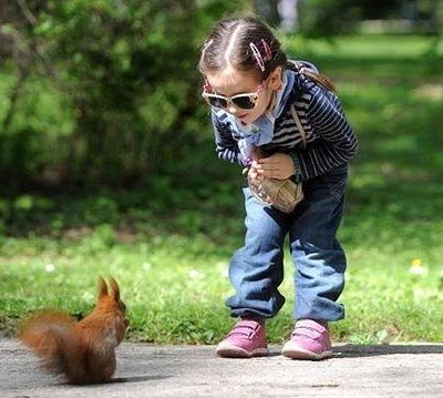 Σκιουράκι για κατοικίδιο; Τα υπέρ και τα κατά αυτής της επιλογής