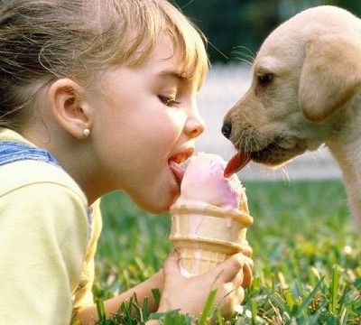 Γιατί δεν πρέπει τα παιδιά σας να ταΐζουν με κόκκαλα τον σκύλο τους!