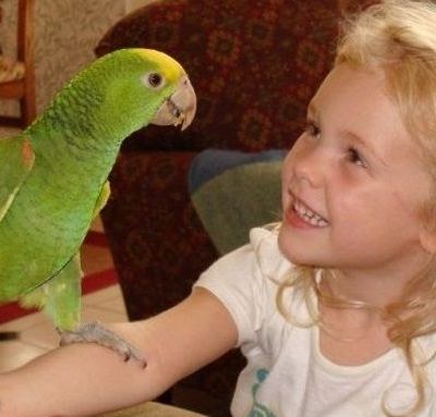 Αυτές είναι οι 6 τροφές που δεν πρέπει το παιδί σας να δώσει στον παπαγάλο του!