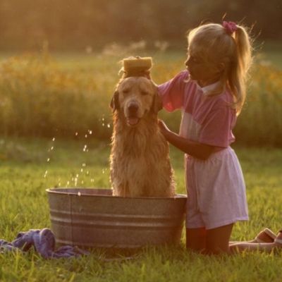 Μάθετε το παιδί σας πώς να καλλωπίζει και πώς να κάνει μπάνιο το σκύλο του!